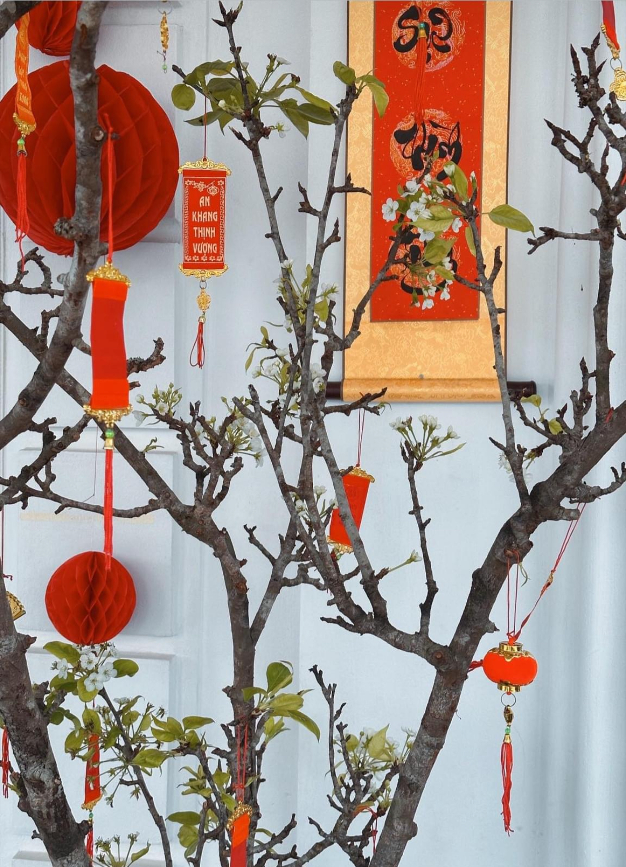 "Cung điện" dát vàng của vợ chồng Lan Khuê ngày Tết: Không gian ngập tràn hoa, trang trí đài phun nước bắt mắt- Ảnh 1. "Cung điện" dát vàng của vợ chồng Lan Khuê ngày Tết: Không gian ngập tràn hoa, trang trí đài phun nước bắt mắt- Ảnh 1.