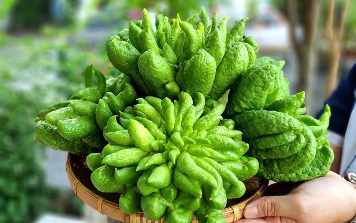 Tết mà thời tiết nồm ẩm thì đừng dại mà mua những loại hoa quả này để thắp hương- Ảnh 3. Tết mà thời tiết nồm ẩm thì đừng dại mà mua những loại hoa quả này để thắp hương- Ảnh 3.