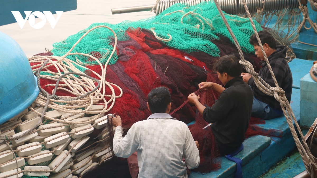 Ngư dân rộn ràng cập bờ đón Tết - Ảnh 10. Ngư dân rộn ràng cập bờ đón Tết - Ảnh 10.