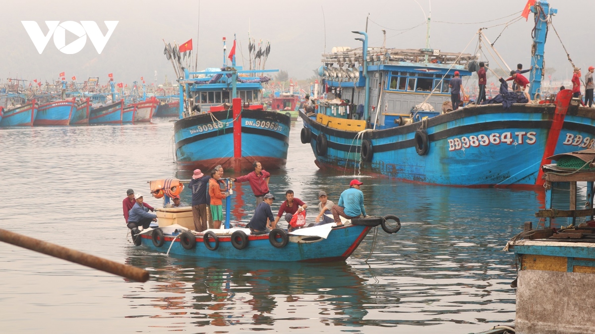 Ngư dân rộn ràng cập bờ đón Tết - Ảnh 7. Ngư dân rộn ràng cập bờ đón Tết - Ảnh 7.