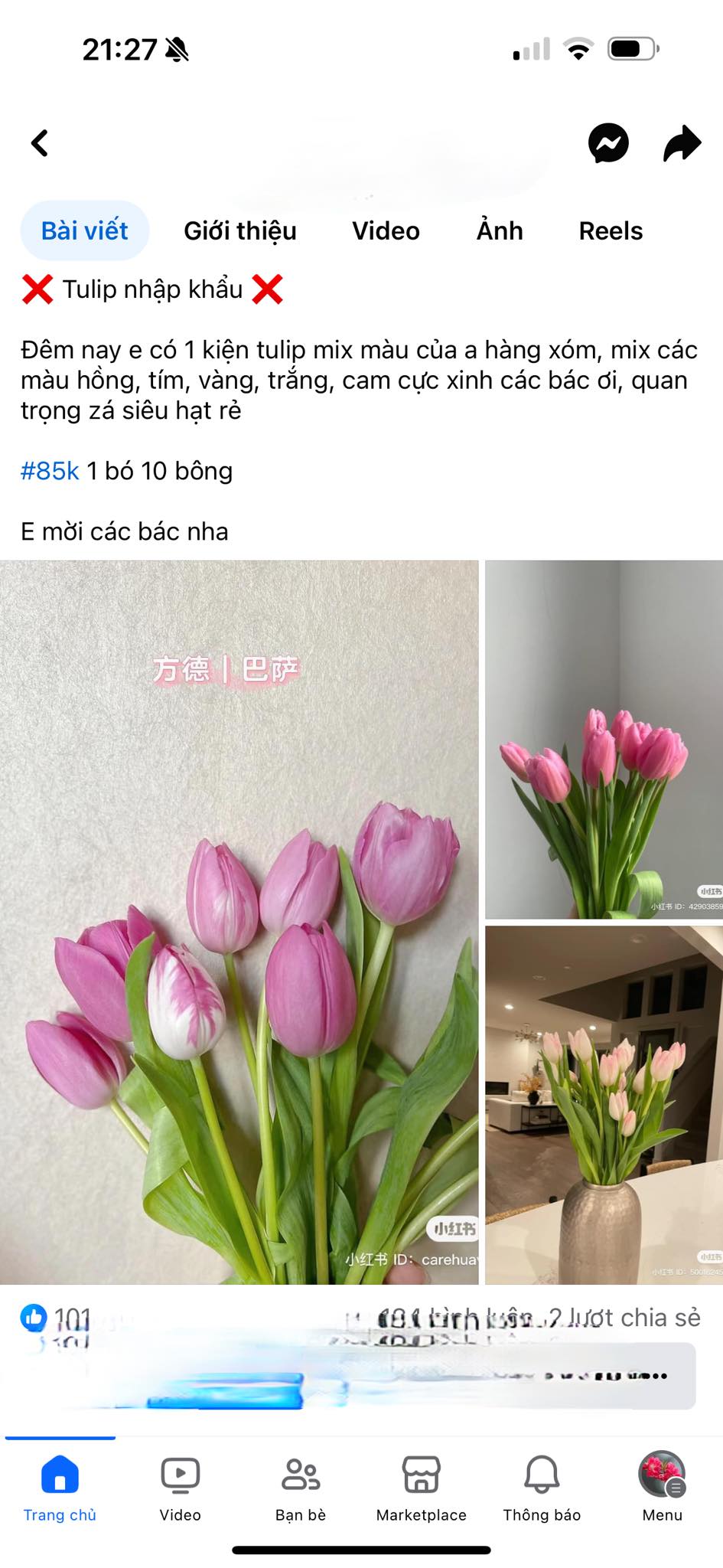 Mùa này hoa tulip rất rẻ, từ 300 nghìn/bó hàng Hà Lan chỉ còn vài chục nghìn: Làm thế này thì tươi 10 ngày- Ảnh 1. Mùa này hoa tulip rất rẻ, từ 300 nghìn/bó hàng Hà Lan chỉ còn vài chục nghìn: Làm thế này thì tươi 10 ngày- Ảnh 1.