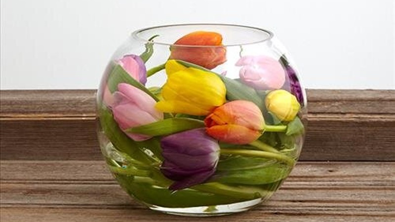 Mùa này hoa tulip rất rẻ, từ 300 nghìn/bó hàng Hà Lan chỉ còn vài chục nghìn: Làm thế này thì tươi 10 ngày- Ảnh 11. Mùa này hoa tulip rất rẻ, từ 300 nghìn/bó hàng Hà Lan chỉ còn vài chục nghìn: Làm thế này thì tươi 10 ngày- Ảnh 11.