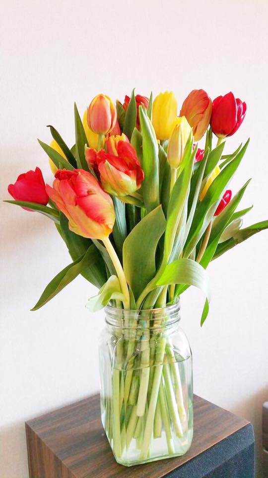 Mùa này hoa tulip rất rẻ, từ 300 nghìn/bó hàng Hà Lan chỉ còn vài chục nghìn: Làm thế này thì tươi 10 ngày- Ảnh 5. Mùa này hoa tulip rất rẻ, từ 300 nghìn/bó hàng Hà Lan chỉ còn vài chục nghìn: Làm thế này thì tươi 10 ngày- Ảnh 5.