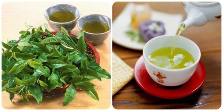 Tác hại của nước chè xanh nếu bạn uống sai cách - Ảnh 1.