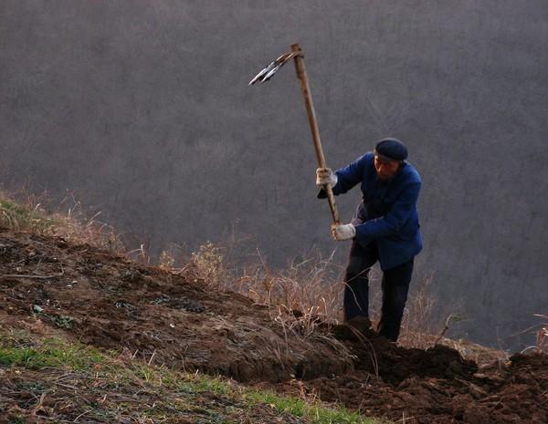Lão nông đào trúng chiếc thìa liền mang về xúc cám cho lợn, trưởng thôn nhìn thấy thì hô hoán: ''Thứ này không phải đồ thường! Lão nông đào trúng chiếc thìa liền mang về xúc cám cho lợn, trưởng thôn nhìn thấy thì hô hoán: ''Thứ này không phải đồ thường!