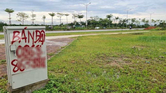 Huyện sắp lên quận ở Hà Nội sẽ đấu giá gần 500 thửa đất - Ảnh 1.