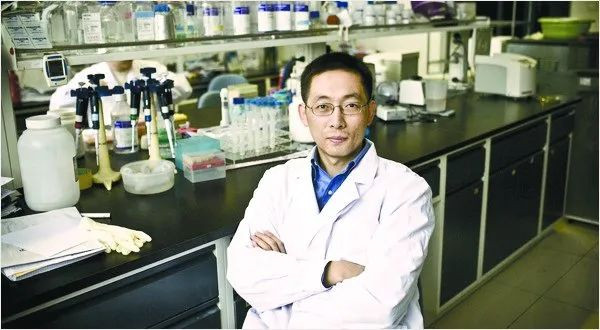 Tiến sĩ giỏi nhất Trung Quốc kiêm giáo sư trẻ nhất ĐH Princeton với quyết định gây tranh cãi khi ở đỉnh cao sự nghiệp giờ ra sao? - Ảnh 1. Tiến sĩ giỏi nhất Trung Quốc kiêm giáo sư trẻ nhất ĐH Princeton với quyết định gây tranh cãi khi ở đỉnh cao sự nghiệp giờ ra sao? - Ảnh 1.