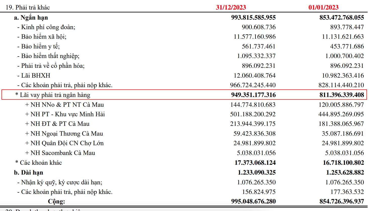 DN thuỷ sản trên sàn có Chủ tịch vừa bị bắt: Lỗ triền miên, âm vốn 1.400 tỷ, mất khả năng thanh toán nợ 400 tỷ cho BIDV, Vietcombank, Agribank - Ảnh 5.