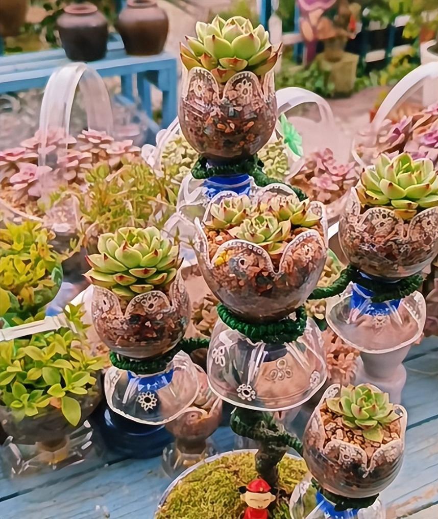 Người phụ nữ ở Thượng Hải nổi tiếng nhờ trồng sen đá "bằng chai nước khoáng" vô cùng độc đáo, tạo ra khu vườn xinh đẹp đáng ghen tị - Ảnh 8. Người phụ nữ ở Thượng Hải nổi tiếng nhờ trồng sen đá "bằng chai nước khoáng" vô cùng độc đáo, tạo ra khu vườn xinh đẹp đáng ghen tị - Ảnh 8.