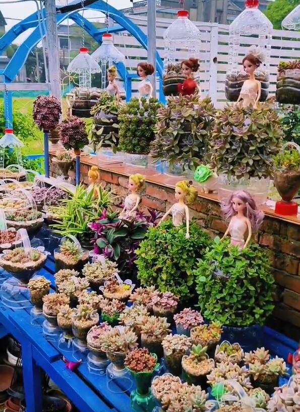 Người phụ nữ ở Thượng Hải nổi tiếng nhờ trồng sen đá "bằng chai nước khoáng" vô cùng độc đáo, tạo ra khu vườn xinh đẹp đáng ghen tị - Ảnh 6. Người phụ nữ ở Thượng Hải nổi tiếng nhờ trồng sen đá "bằng chai nước khoáng" vô cùng độc đáo, tạo ra khu vườn xinh đẹp đáng ghen tị - Ảnh 6.