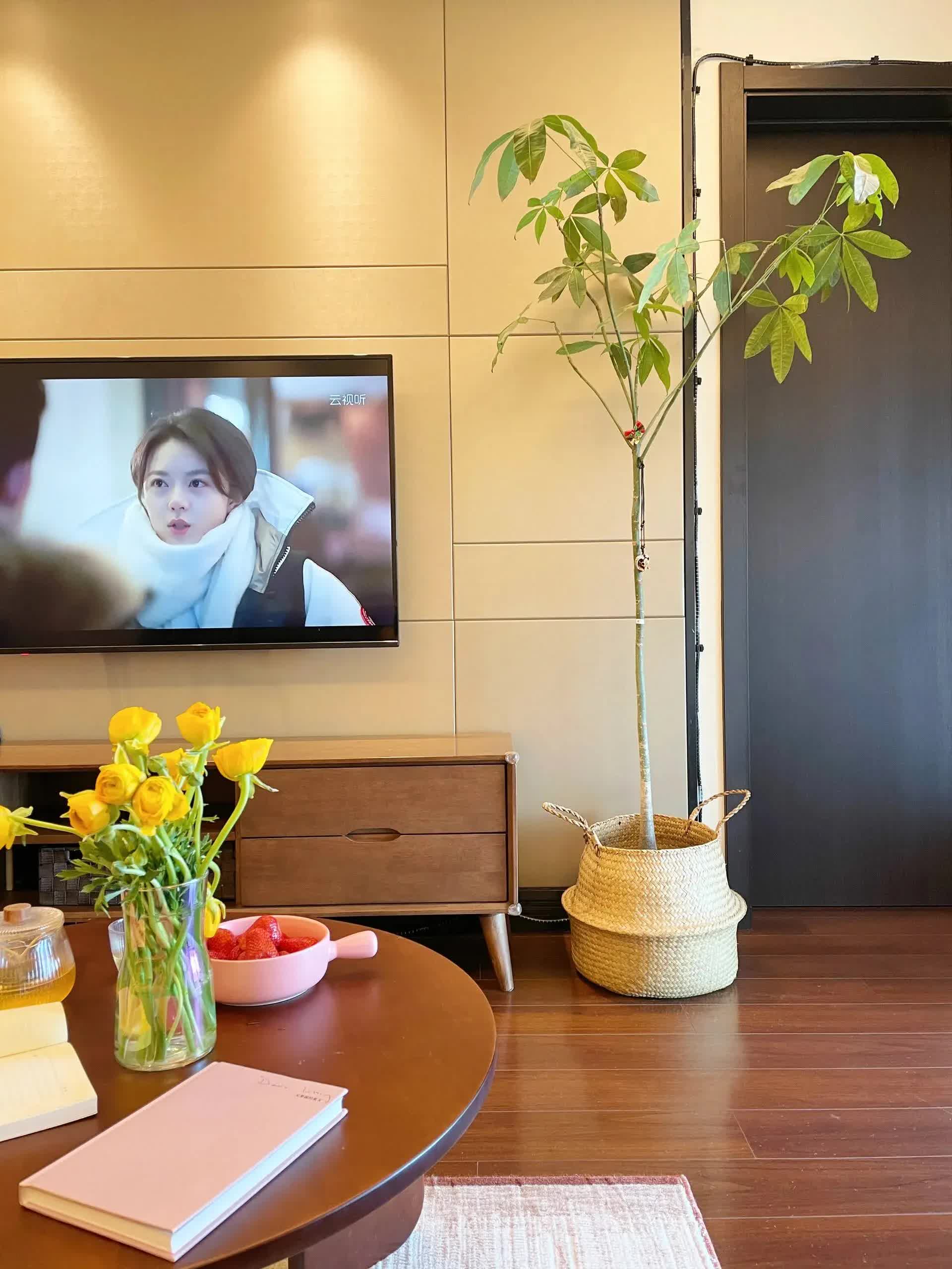 Sau bao năm cật lực kiếm tiền, tôi đã mua được cho mình căn hộ 60m2, vừa đủ cho 5 người sinh hoạt- Ảnh 8. Sau bao năm cật lực kiếm tiền, tôi đã mua được cho mình căn hộ 60m2, vừa đủ cho 5 người sinh hoạt- Ảnh 8.