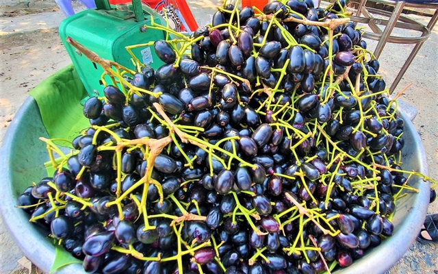 1 loại quả ngọt bán ở chợ Việt tốt ngang insulin tự nhiên giúp hạ đường huyết, cứu tinh của người giảm cân  - Ảnh 1.