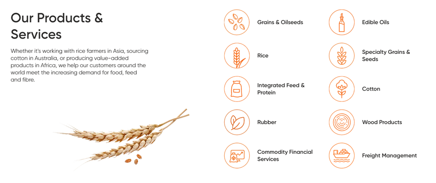 Ông trùm xuất khẩu cà phê rang xay và hòa tan đem về 100 triệu USD cho Việt Nam - Ảnh 2.