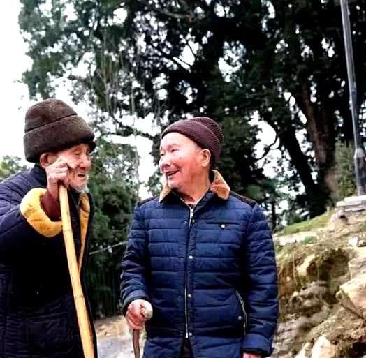 Lão nông phát hiện 3 cây gỗ quý hơn 1.000 năm tuổi trong vườn nhà, thương gia ra giá hơn 900 tỷ đồng mua trọn nhưng bị chuyên gia ngăn lại: "Tuyệt đối đừng bán" - Ảnh 2.