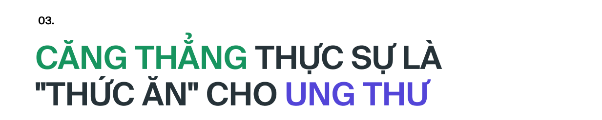 Ai đã &quot;phát minh&quot; ra stress: Tác nhân của 80% bệnh tật trên đời, bao gồm cả ung thư?- Ảnh 17.