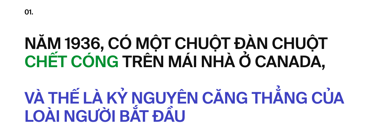 Ai đã &quot;phát minh&quot; ra stress: Tác nhân của 80% bệnh tật trên đời, bao gồm cả ung thư?- Ảnh 3.