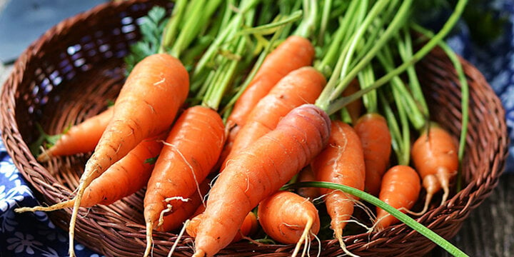 Lợi ích tuyệt vời của cà rốt với sức khỏe - Ảnh 2.
