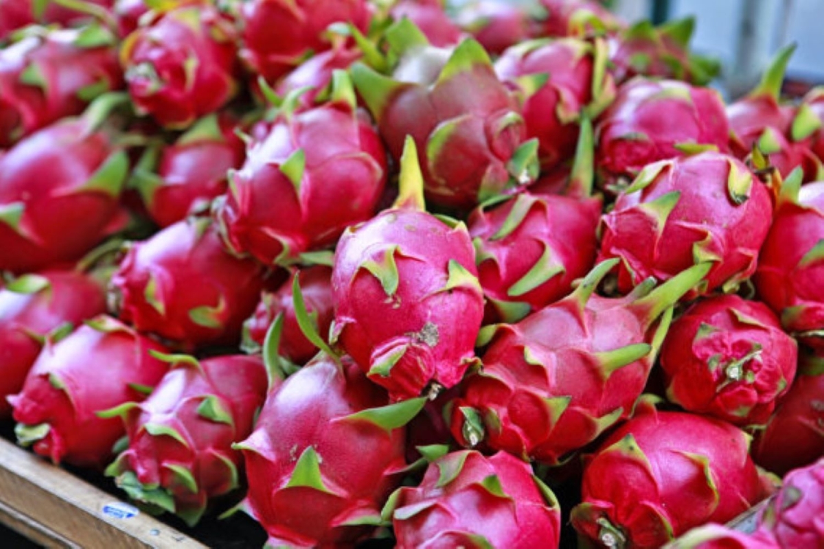 Loại trái cây 'ngôi vương' của Việt Nam, được báo Mỹ ví như siêu thực phẩm: 'Vị ngọt dịu thật tuyệt vời'- Ảnh 2.