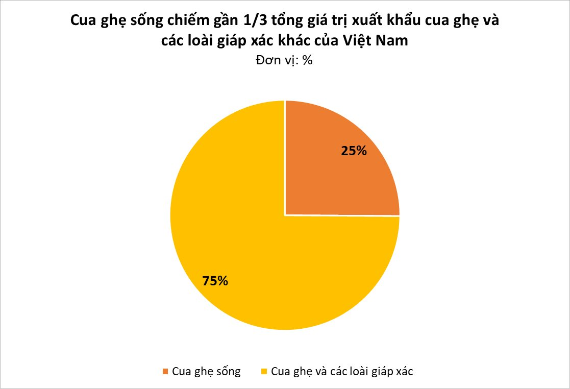 Một loại hải sản của Việt Nam &quot;bơi&quot; sang Trung Quốc đắt hàng không tưởng: xuất khẩu tăng đột biến hơn 4 lần, mang về hàng chục triệu USD - Ảnh 2.