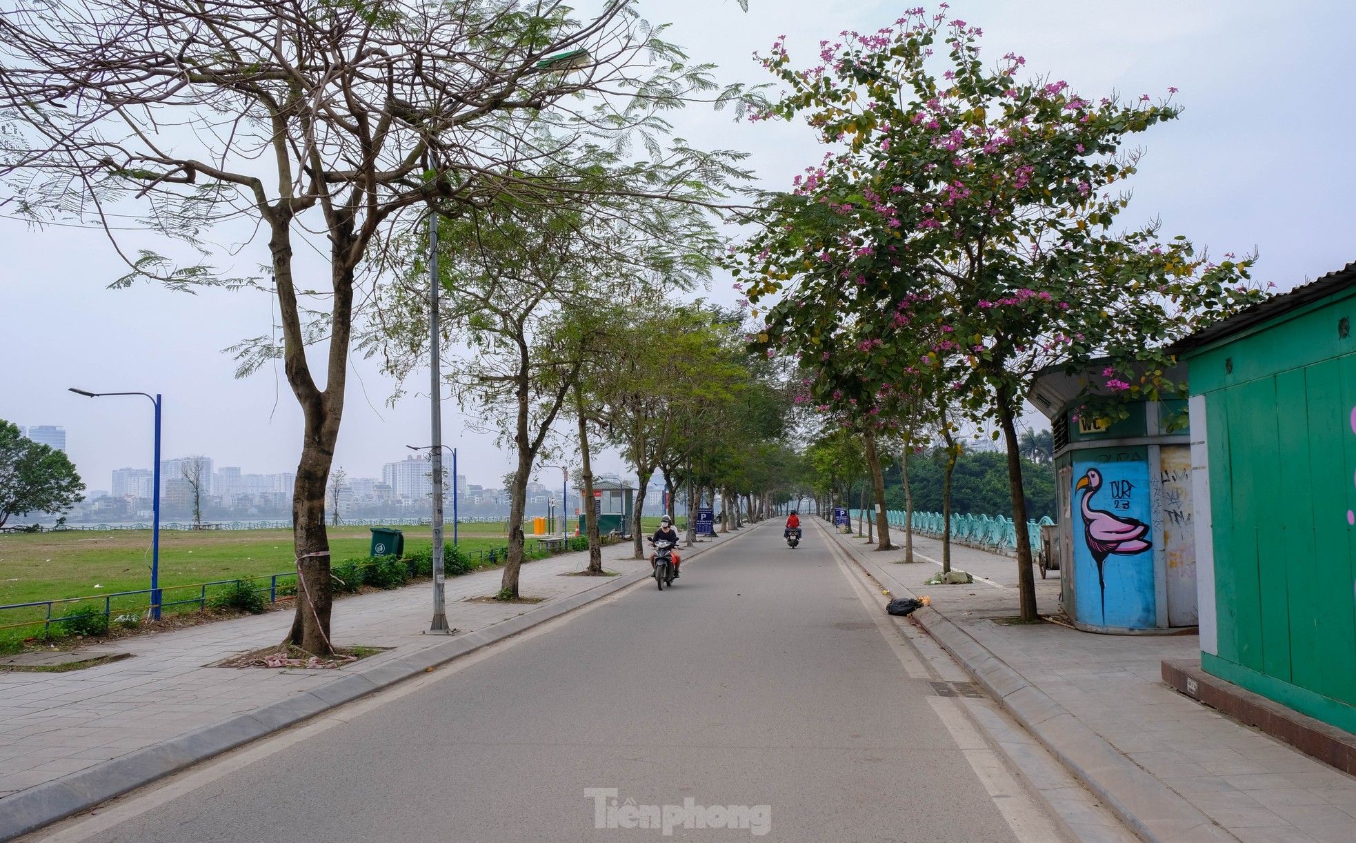 Con phố thú vị nhất thế giới ở Hà Nội - Ảnh 5.