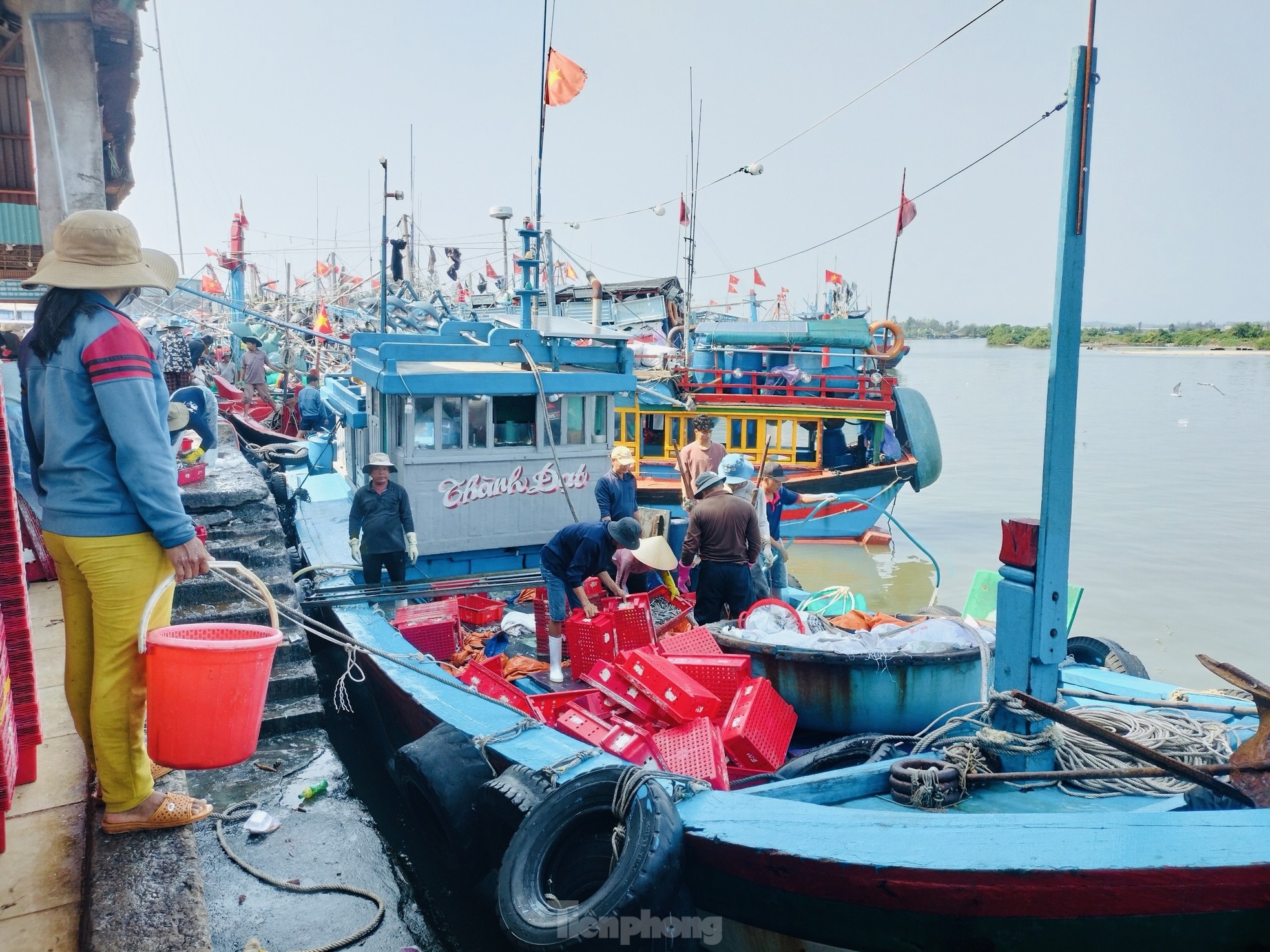 Ngư dân 'hốt bạc' vì trúng đậm mẻ cá lớn trong đêm - Ảnh 4.