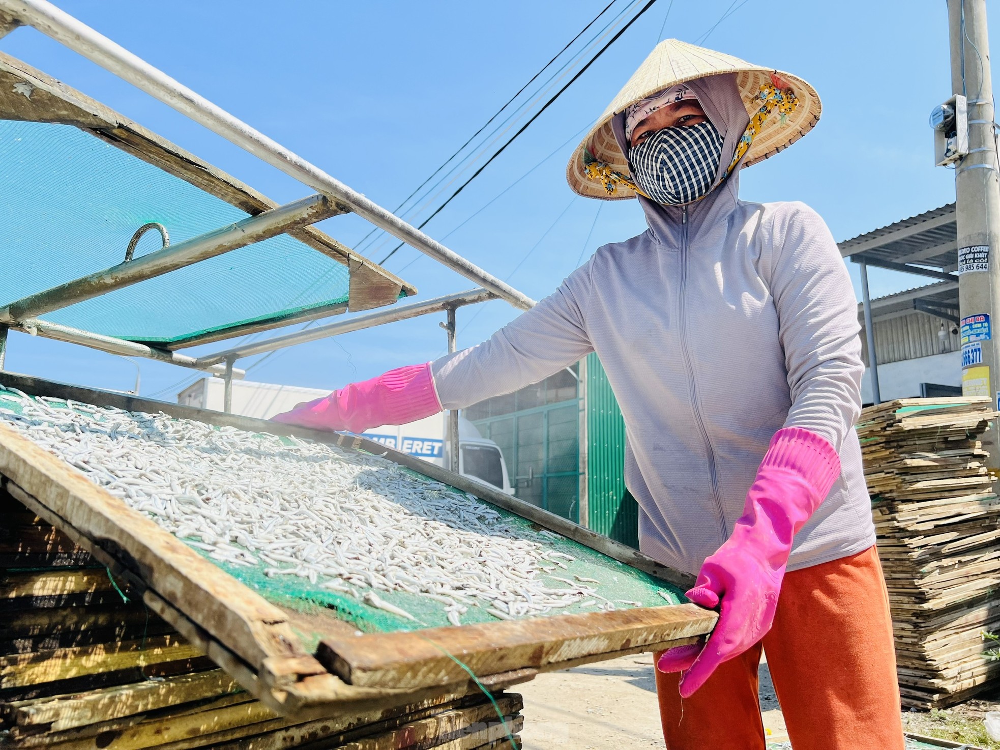 Ngư dân 'hốt bạc' vì trúng đậm mẻ cá lớn trong đêm - Ảnh 17.