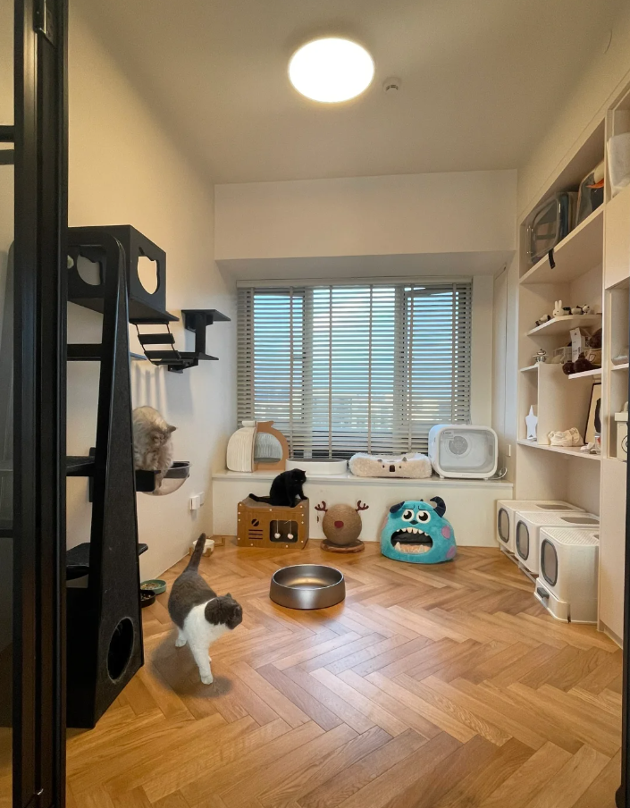 Chi gần 8 tỷ để sở hữu căn nhà ngắm view hoàng hôn cực đỉnh, dành hẳn một phòng cho mèo- Ảnh 11. Chi gần 8 tỷ để sở hữu căn nhà ngắm view hoàng hôn cực đỉnh, dành hẳn một phòng cho mèo- Ảnh 11.