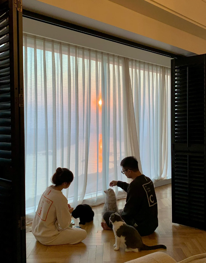 Chi gần 8 tỷ để sở hữu căn nhà ngắm view hoàng hôn cực đỉnh, dành hẳn một phòng cho mèo- Ảnh 15. Chi gần 8 tỷ để sở hữu căn nhà ngắm view hoàng hôn cực đỉnh, dành hẳn một phòng cho mèo- Ảnh 15.
