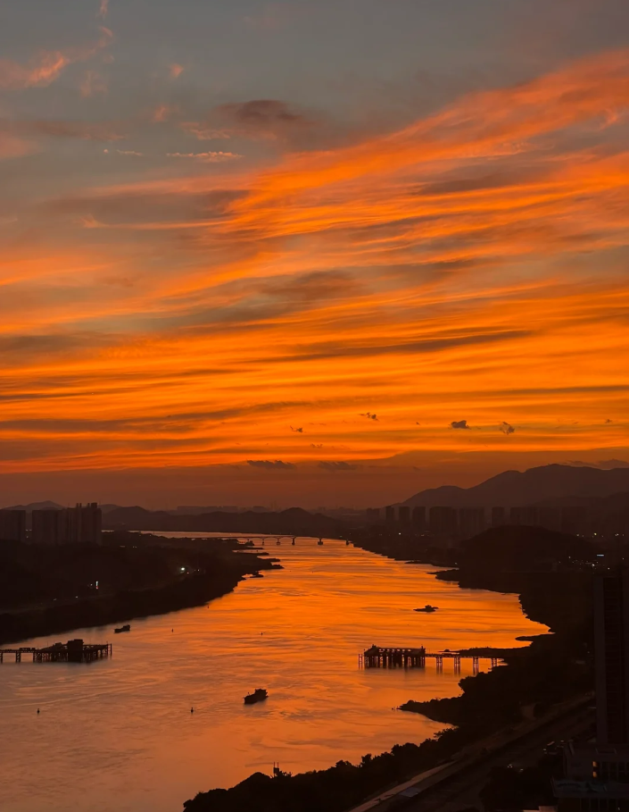Chi gần 8 tỷ để sở hữu căn nhà ngắm view hoàng hôn cực đỉnh, dành hẳn một phòng cho mèo- Ảnh 16. Chi gần 8 tỷ để sở hữu căn nhà ngắm view hoàng hôn cực đỉnh, dành hẳn một phòng cho mèo- Ảnh 16.
