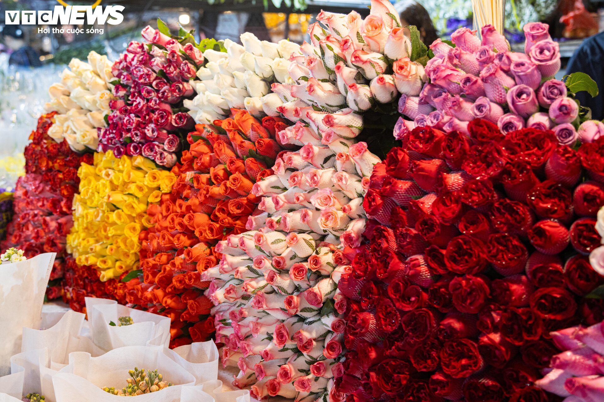 Chợ hoa tươi lớn nhất Hà Nội nhộn nhịp suốt đêm trước ngày 8/3 - Ảnh 5.