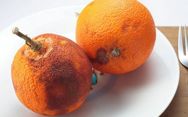4 loại trái cây mà bác sĩ xưa nay không bao giờ ăn, là mầm mống kích hoạt ung thư- Ảnh 2.