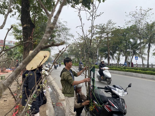 Người Hà Nội thích thú 'ăn chơi' hết tháng Giêng với hoa lê rừng - Ảnh 2. Người Hà Nội thích thú 'ăn chơi' hết tháng Giêng với hoa lê rừng - Ảnh 2.