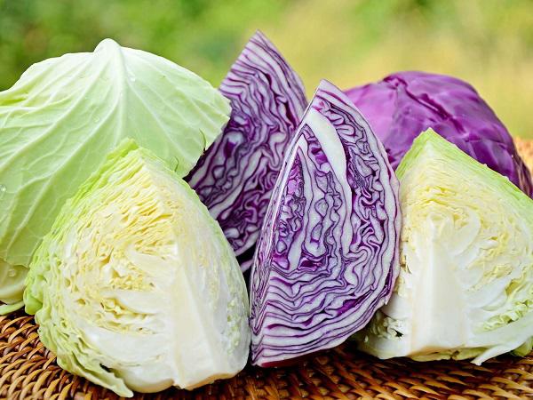 5 loại rau quả được ví như “insulin tự nhiên”, “thần dược” hạ đường huyết: An toàn để người tiểu đường tiêu thụ - Ảnh 1. 5 loại rau quả được ví như “insulin tự nhiên”, “thần dược” hạ đường huyết: An toàn để người tiểu đường tiêu thụ - Ảnh 1.