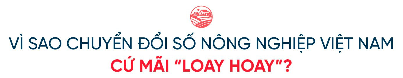 Doanh nhân Nguyễn Thị Thành Thực: Người Hàn Quốc sang Việt Nam làm chủ lĩnh vực công nghiệp, thì người Việt Nam cũng có thể làm chủ trong nông nghiệp ở Hàn Quốc- Ảnh 1. Doanh nhân Nguyễn Thị Thành Thực: Người Hàn Quốc sang Việt Nam làm chủ lĩnh vực công nghiệp, thì người Việt Nam cũng có thể làm chủ trong nông nghiệp ở Hàn Quốc- Ảnh 1.