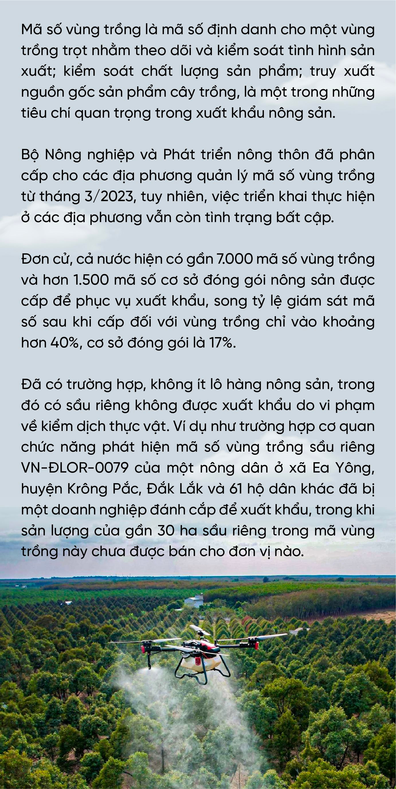 Doanh nhân Nguyễn Thị Thành Thực: Người Hàn Quốc sang Việt Nam làm chủ lĩnh vực công nghiệp, thì người Việt Nam cũng có thể làm chủ trong nông nghiệp ở Hàn Quốc- Ảnh 2. Doanh nhân Nguyễn Thị Thành Thực: Người Hàn Quốc sang Việt Nam làm chủ lĩnh vực công nghiệp, thì người Việt Nam cũng có thể làm chủ trong nông nghiệp ở Hàn Quốc- Ảnh 2.