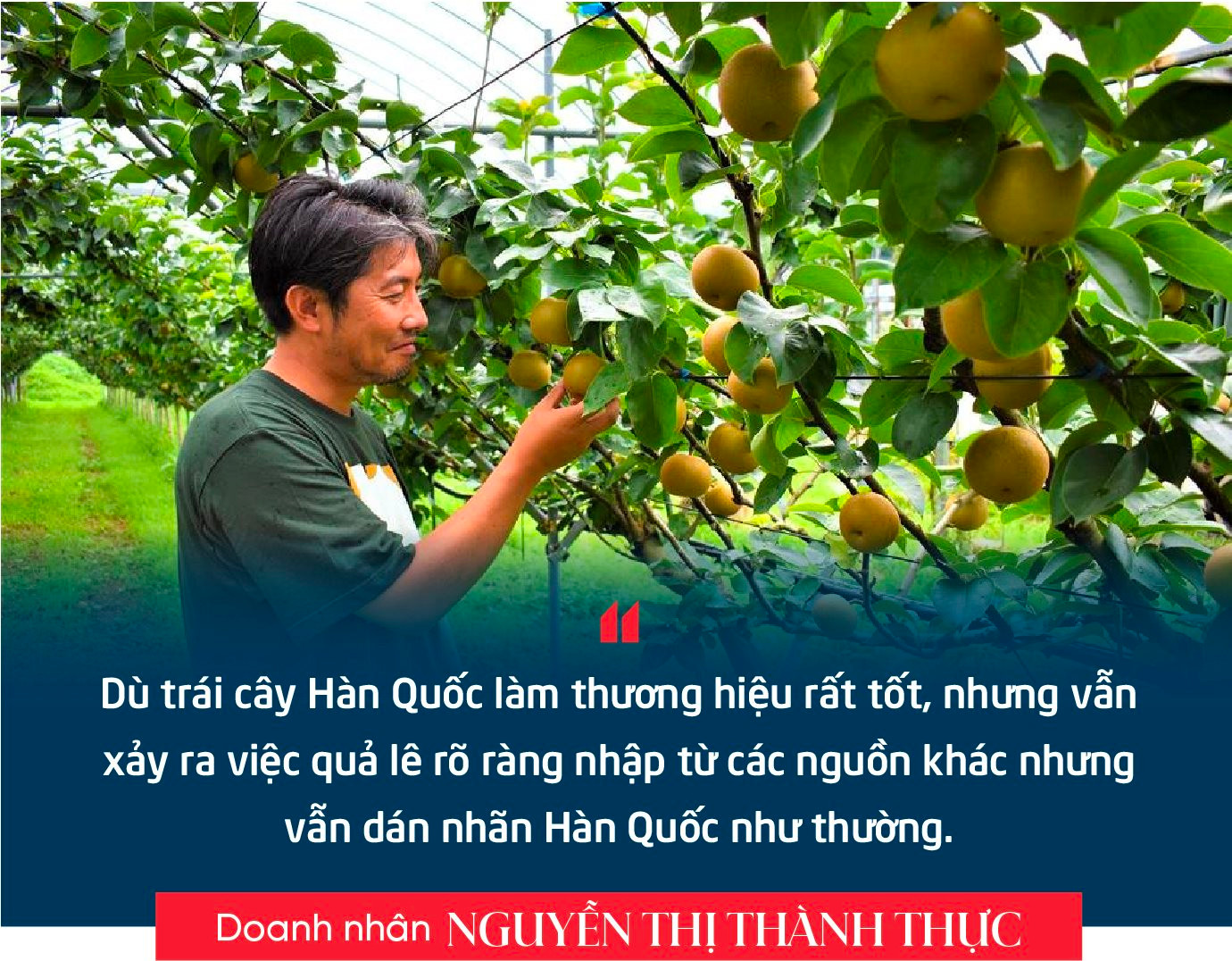 Doanh nhân Nguyễn Thị Thành Thực: Người Hàn Quốc sang Việt Nam làm chủ lĩnh vực công nghiệp, thì người Việt Nam cũng có thể làm chủ trong nông nghiệp ở Hàn Quốc- Ảnh 6. Doanh nhân Nguyễn Thị Thành Thực: Người Hàn Quốc sang Việt Nam làm chủ lĩnh vực công nghiệp, thì người Việt Nam cũng có thể làm chủ trong nông nghiệp ở Hàn Quốc- Ảnh 6.