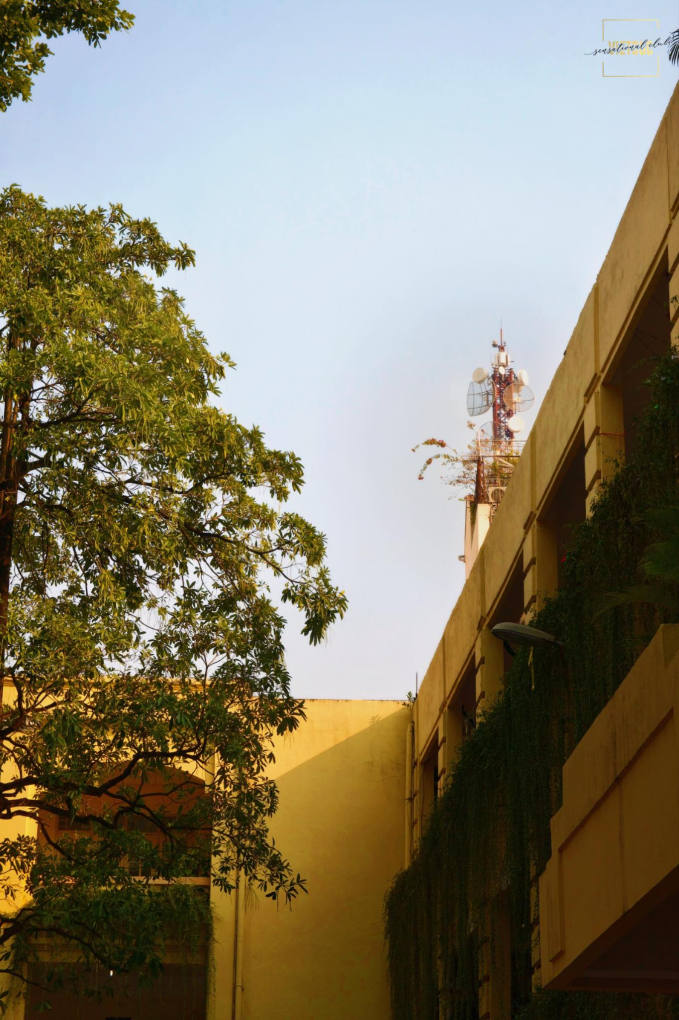 Ngôi trường cấp 3 vang danh quận Hoàn Kiếm, lọt top điểm chuẩn cao nhất 2023, là cái nôi đào tạo ra nhiều Hoa hậu- Ảnh 2. Ngôi trường cấp 3 vang danh quận Hoàn Kiếm, lọt top điểm chuẩn cao nhất 2023, là cái nôi đào tạo ra nhiều Hoa hậu- Ảnh 2.