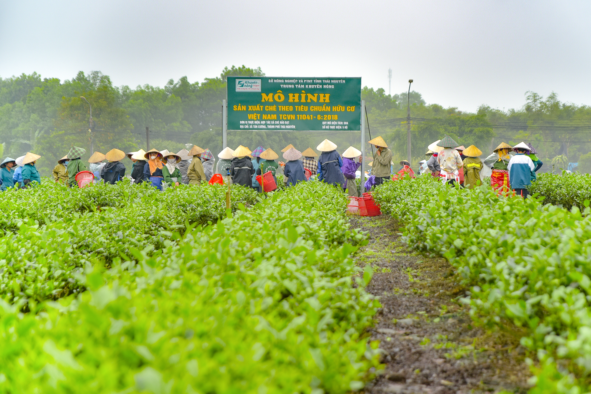 Tỉnh trung du miền núi có 3 đến thành phố, được Samsung đầu tư hơn 7 tỷ USD, phấn đấu trở thành Thành phố trực thuộc Trung ương- Ảnh 10.