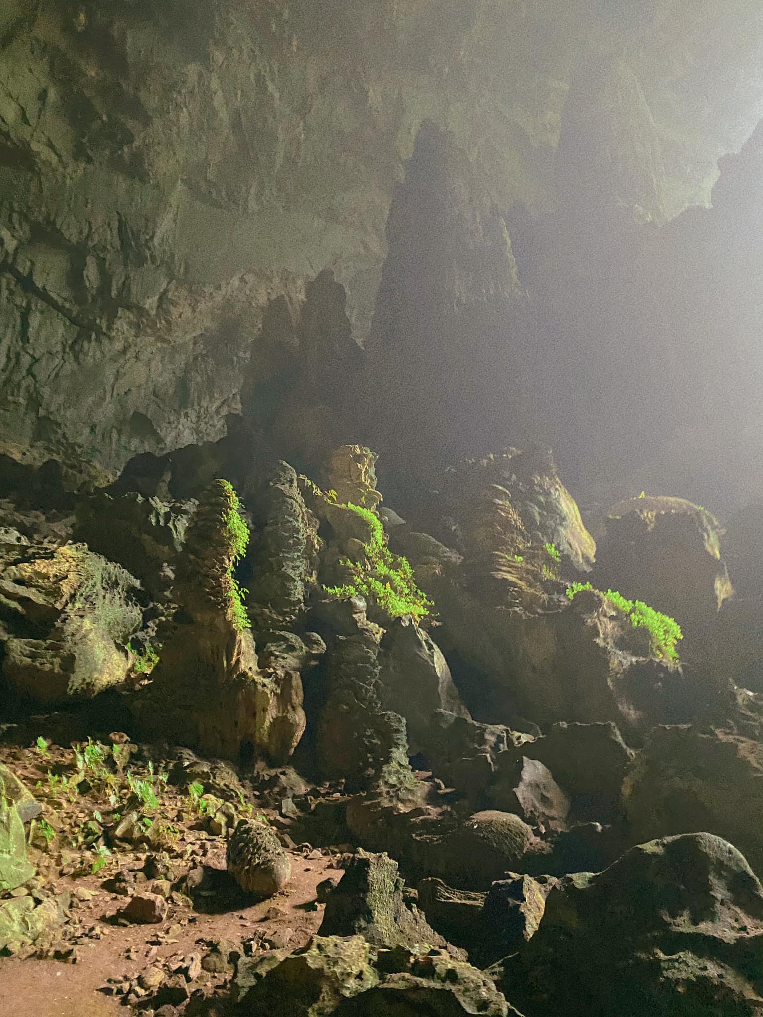 Phát hiện hang động hoang sơ với những khối núi đá vôi hàng trăm triệu tuổi, cách Hà Nội chỉ hơn 200km - Ảnh 9.