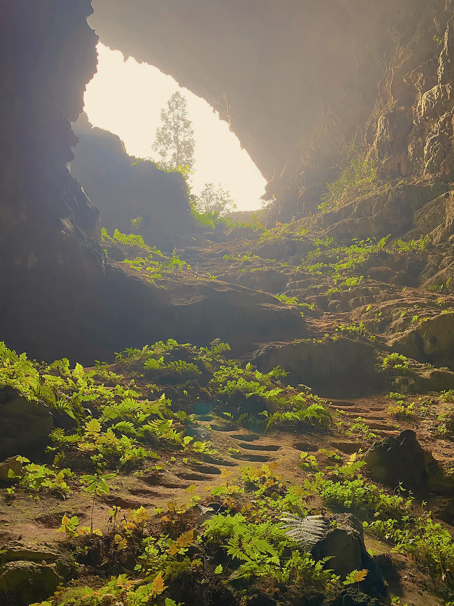 Phát hiện hang động hoang sơ với những khối núi đá vôi hàng trăm triệu tuổi, cách Hà Nội chỉ hơn 200km - Ảnh 11.