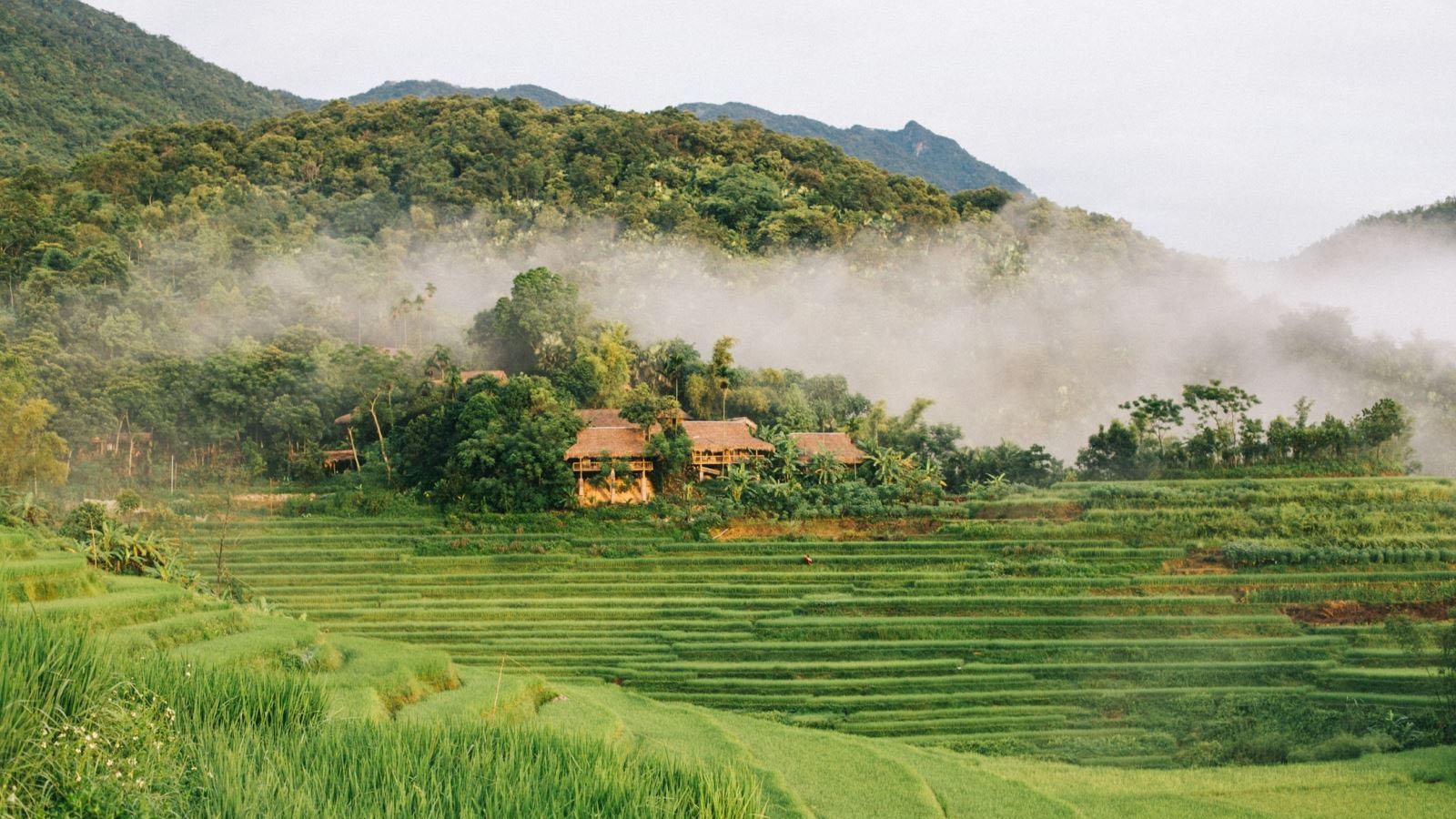 Phát hiện hang động hoang sơ với những khối núi đá vôi hàng trăm triệu tuổi, cách Hà Nội chỉ hơn 200km- Ảnh 4.