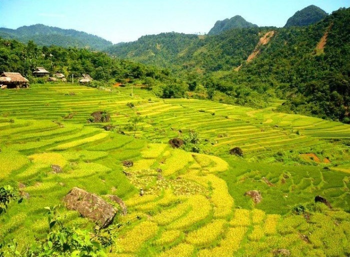 Phát hiện hang động hoang sơ với những khối núi đá vôi hàng trăm triệu tuổi, cách Hà Nội chỉ hơn 200km- Ảnh 7.