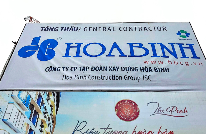 Xây dựng Hòa Bình tiếp tục nợ 10 tháng BHXH hơn 38 tỷ đồng - Ảnh 1.