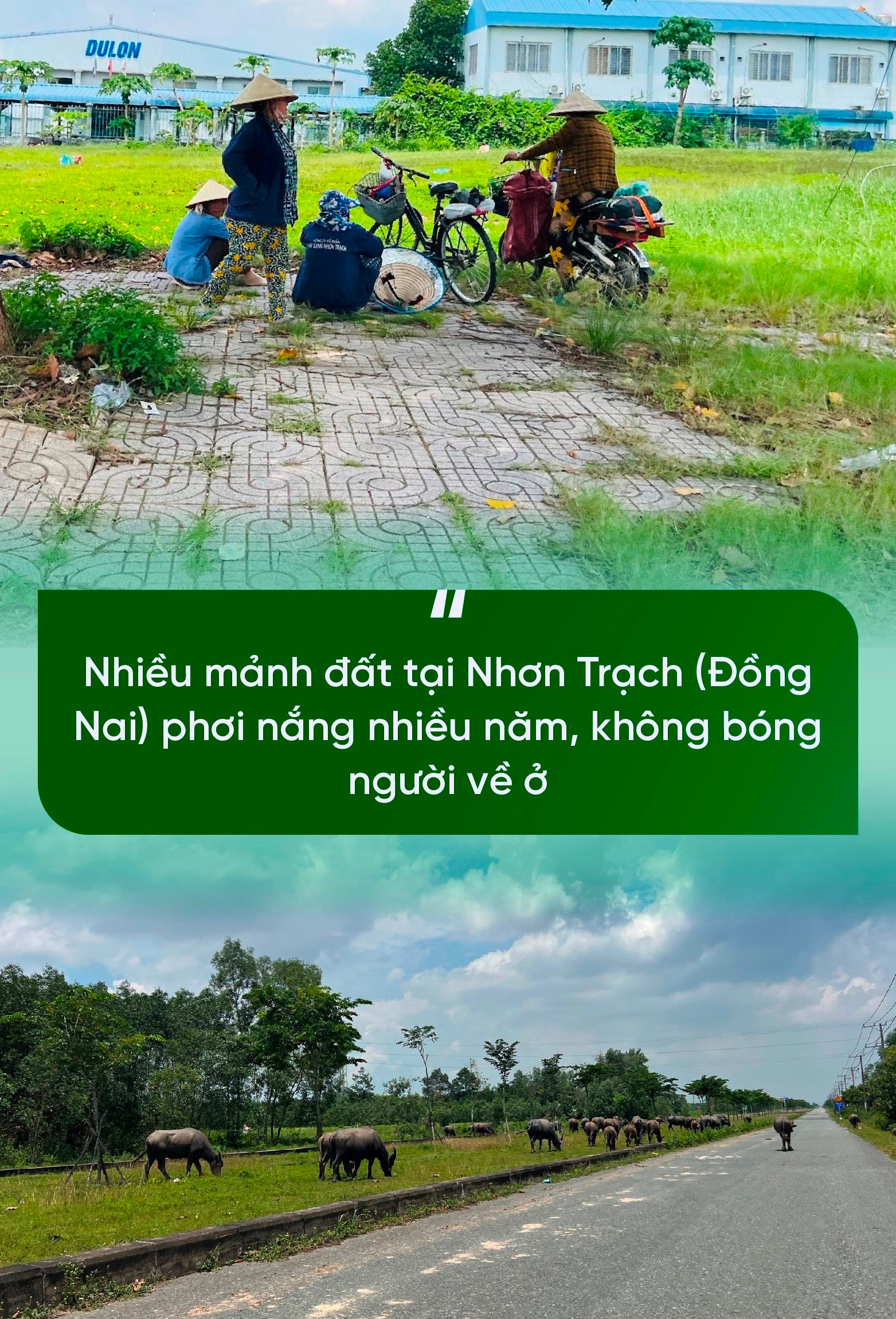 Nhìn lại nốt thăng - trầm BĐS phía Nam: Từ sốt nóng đến đóng băng, vừa khởi sắc đã xuất hiện “tay to” gom hàng - Ảnh 6.