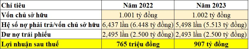 Vốn nghìn tỷ đồng, Bất động sản S – Việt Nam có năm thứ 2 liên tiếp báo lãi chưa đầy 1 tỷ đồng - Ảnh 2.