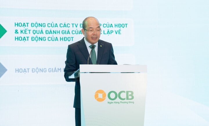 Chủ tịch ngân hàng OCB lý giải việc lợi nhuận lao dốc - Ảnh 2.