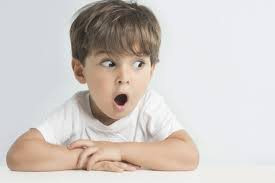 Bất động sản S – Việt Nam báo lãi năm thứ 2 liên tiếp - Ảnh 1.