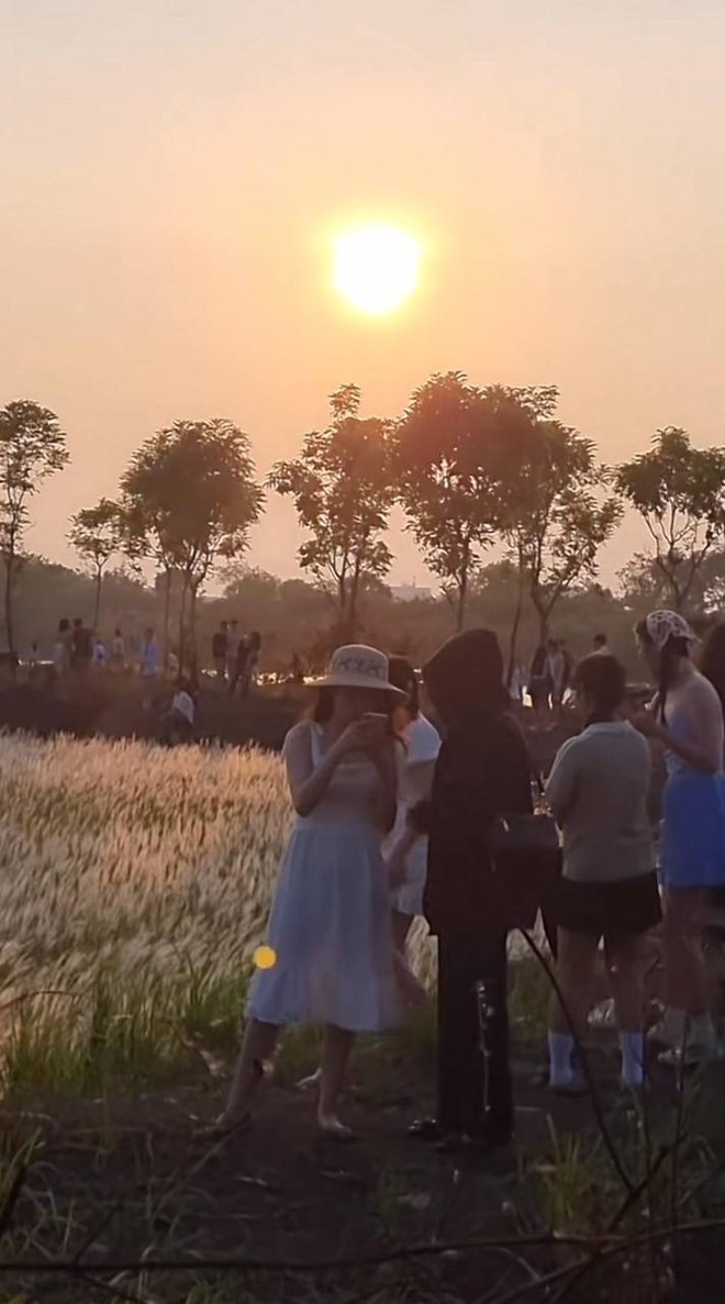 Cập nhật tình hình du lịch dịp lễ khắp mọi miền: Đổ xô ngắm hoa mai anh đào nở kỳ lạ giữa hè Đà Lạt, đảo Phú Quý đông đúc khách - Ảnh 22.