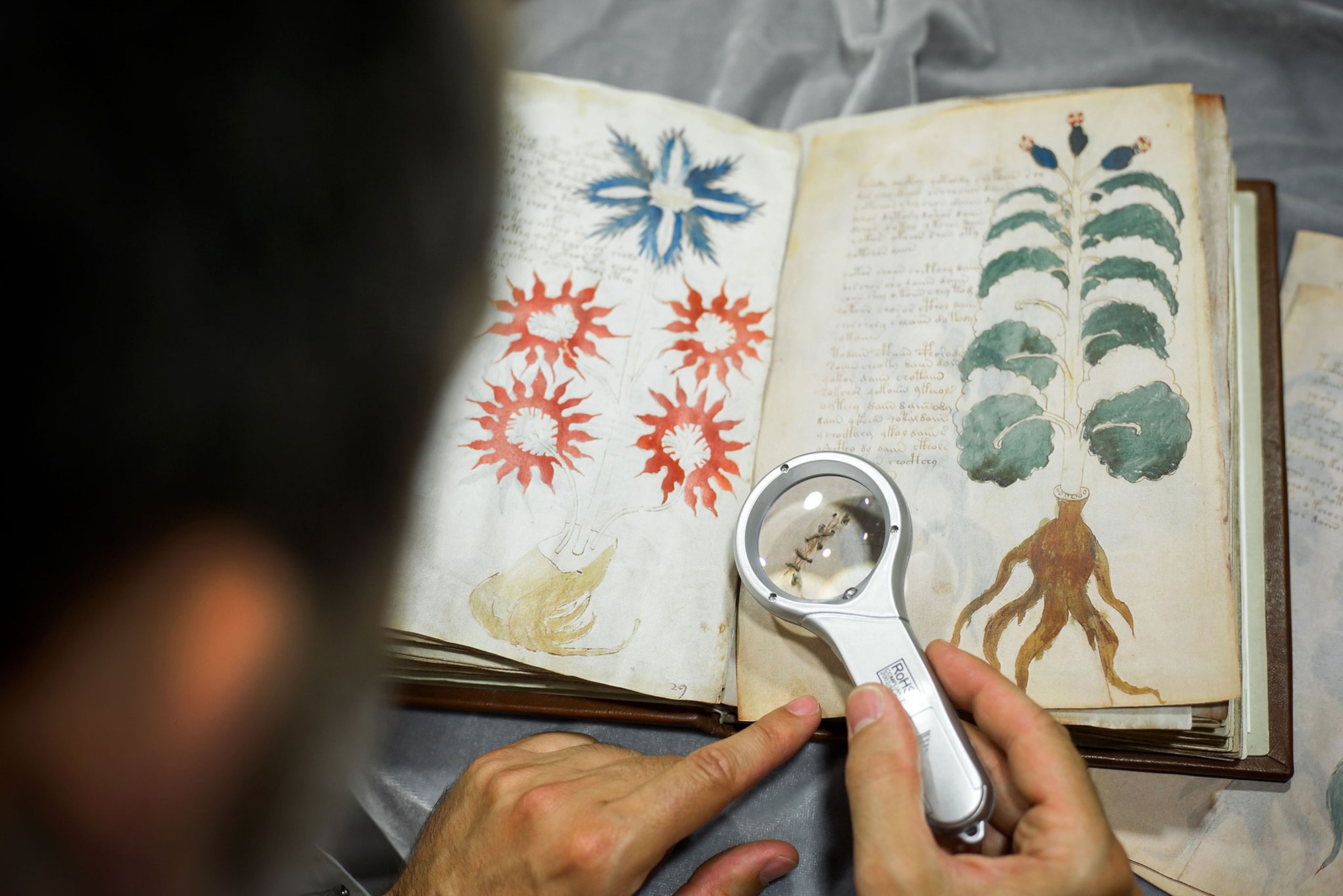 AI đã giải mã được bản thảo Voynich, bí ẩn 600 năm tuổi mà không ai có thể giải mã được?- Ảnh 1. AI đã giải mã được bản thảo Voynich, bí ẩn 600 năm tuổi mà không ai có thể giải mã được?- Ảnh 1.