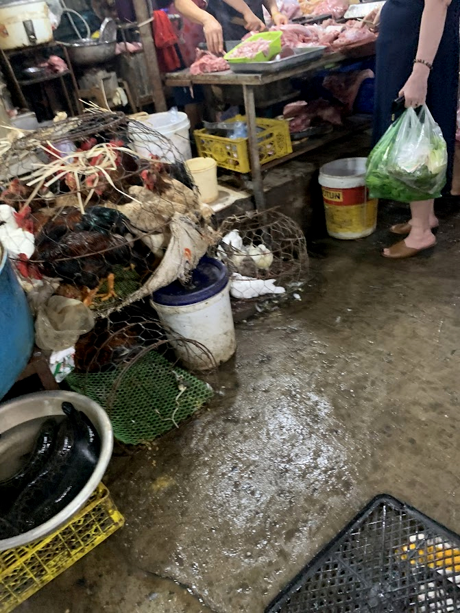 Nguy cơ ngộ độc thực phẩm mùa nắng nóng: Rùng mình với cảnh bày bán thực phẩm mất vệ sinh- Ảnh 12.